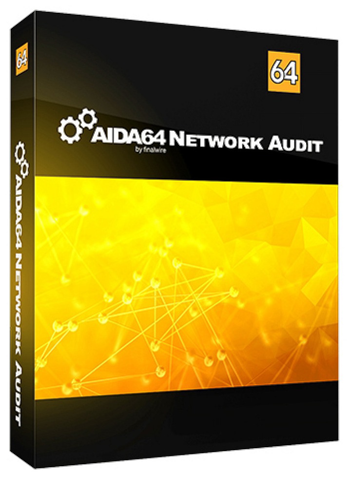 AIDA64 Network Audit (10 Devices)