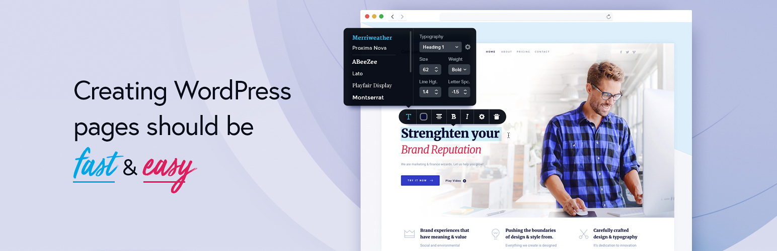 Brizy Pro