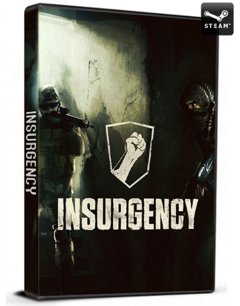 Insurgency