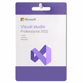 Microsoft Visual Studio Professional 2022