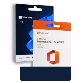 Office Professional Plus 2021 + Windows 11 Pro